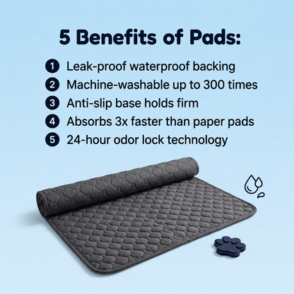 PawDry™ Training Mat