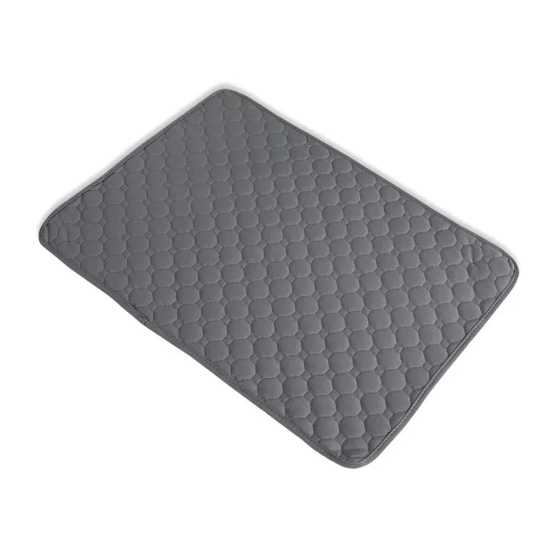 PawDry™ Training Mat