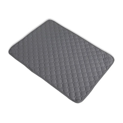 PawDry™ Training Mat