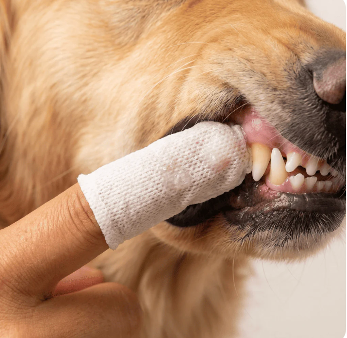 PawFresh™ Finger Wipes
