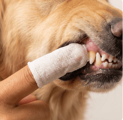 PawFresh™ Finger Wipes