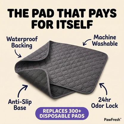 PawDry™ Training Mat