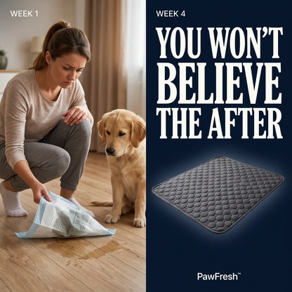 PawDry™ Training Mat